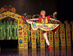 Ведущие коллективы Амурской области провели благотворительный концерт