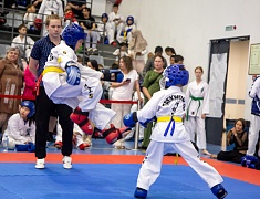 Почти три сотни спортсменов собрал турнир по тхэквондо в Благовещенске