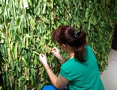 В Благовещенске плетут маскировочные сети для участников СВО