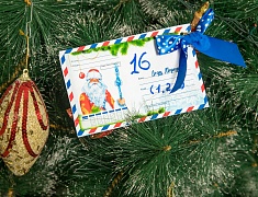 Заместители мэра Благовещенска присоединились к акции «Елка желаний»