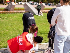 Выходные с ГТО