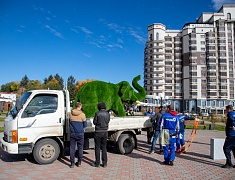 В Благовещенске появился новый арт-объект