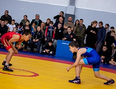 Первенство по вольной борьбе, посвященное памяти бойца СВО Владислава Мазуркова