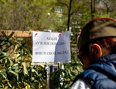 Парк Победы - 2024 