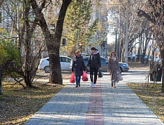 Мэр Благовещенска провел рабочую встречу по благоустройству улицы Горького