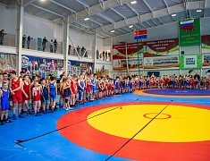 Мэр Олег Имамеев открыл соревнования по вольной борьбе