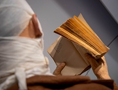 Областной центр принимает уникальный передвижной музей "Поезд Победы"