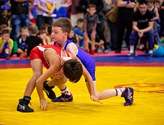 Открытое первенство Благовещенска по спортивной борьбе «VII Наследие ТРОИ»