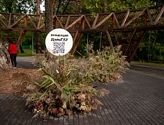  В Первомайском парке назвали лучшие работы в стиле лэнд-арт