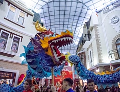 В Благовещенске встретили китайский Новый год