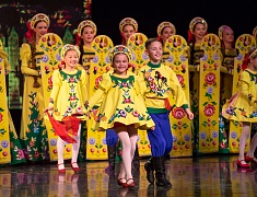 Ведущие коллективы Амурской области провели благотворительный концерт