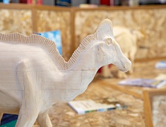 Уникальный проект, посвященный динозаврам, представили на День города в Благовещенске