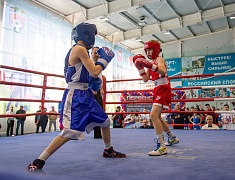 В спорткомплексе «Юность» стартовали соревнования по боксу среди юношей 13-14 лет