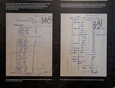 Благовещенск встретил агитпоезд «Сила в правде»