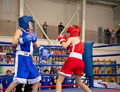 В спорткомплексе «Юность» стартовали соревнования по боксу среди юношей 13-14 лет