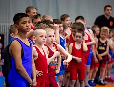 Открытое первенство Благовещенска по спортивной борьбе «VII Наследие ТРОИ»