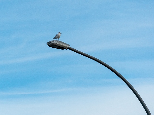 В этом году на одном из участков Мухина модернизируют освещение благодаря концессионному соглашению