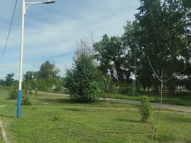 Подравняли газоны: на какие улицы «зашёл» сезонный покос с начала недели?