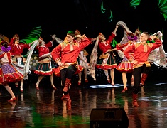 В Благовещенске чествовали горожан серебряного возраста