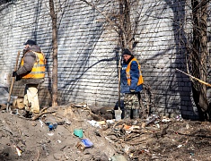 Мэр Олег Имамеев проконтролировал уборку благовещенских улиц и набережной 