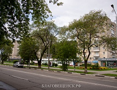 Мэр Благовещенска Олег Имамеев выехал на подтапливаемые во время дождей участки