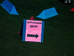 Трудовые коллективы Благовещенска сравнили свои силы в спартакиаде