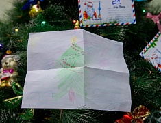 Сотрудники администрации Благовещенска станут новогодними волшебниками