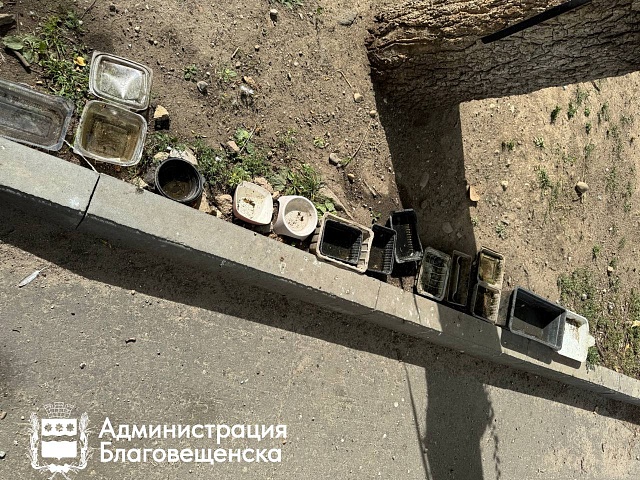 В сквере водников в Благовещенске открылся шведский стол