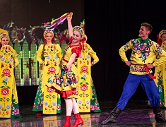 Ведущие коллективы Амурской области провели благотворительный концерт