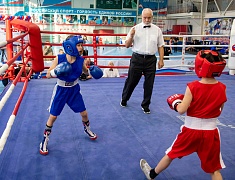 Чемпионат и первенство Амурской области по боксу стартовали в Благовещенске