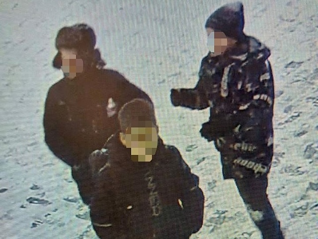 В Благовещенске вандалы перенесли урок анатомии из школы на улицу