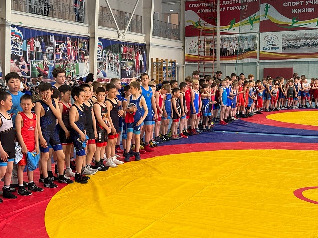 «Наследие ТРОИ»: турнир по вольной борьбе в Благовещенске посвятили 80-летию Великой Победы