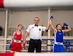 В спорткомплексе «Юность» стартовали соревнования по боксу среди юношей 13-14 лет