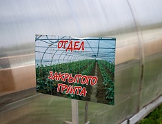 В Благовещенске представили лучшие практики работы с детьми-инвалидами и детьми с ОВЗ