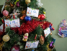 Мэр Олег Имамеев открыл акцию "Ёлка желаний"