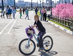 Парк Победы - 2024 