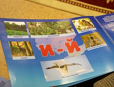 Благовещенские воспитатели поделились опытом с коллегами из Южно-Сахалинска