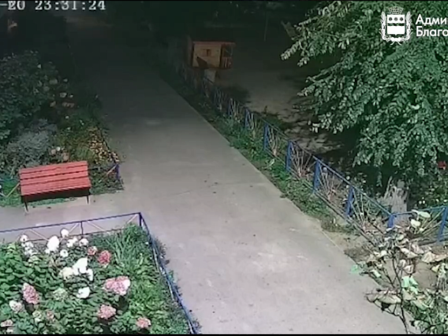 Полмиллиона за «наскальную живопись»: благовещенскому художнику-неудачнику предстоит заплатить немалую сумму за свои граффити