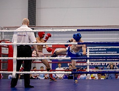 Фестиваль единоборств «Знамя Победы»