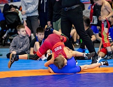 Столица Приамурья стала площадкой для соревнования по вольной борьбе