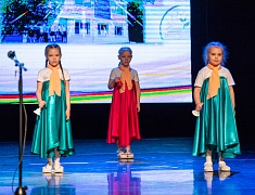 В Благовещенске прошел благотворительный концерт